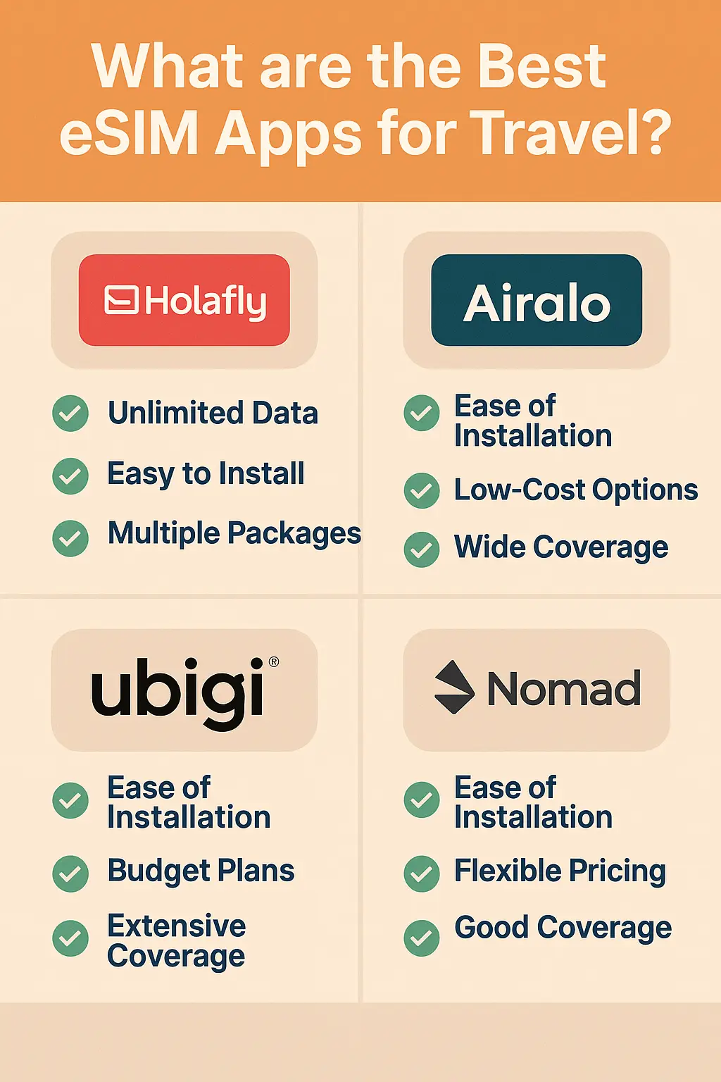 Best Travel eSim Infographic